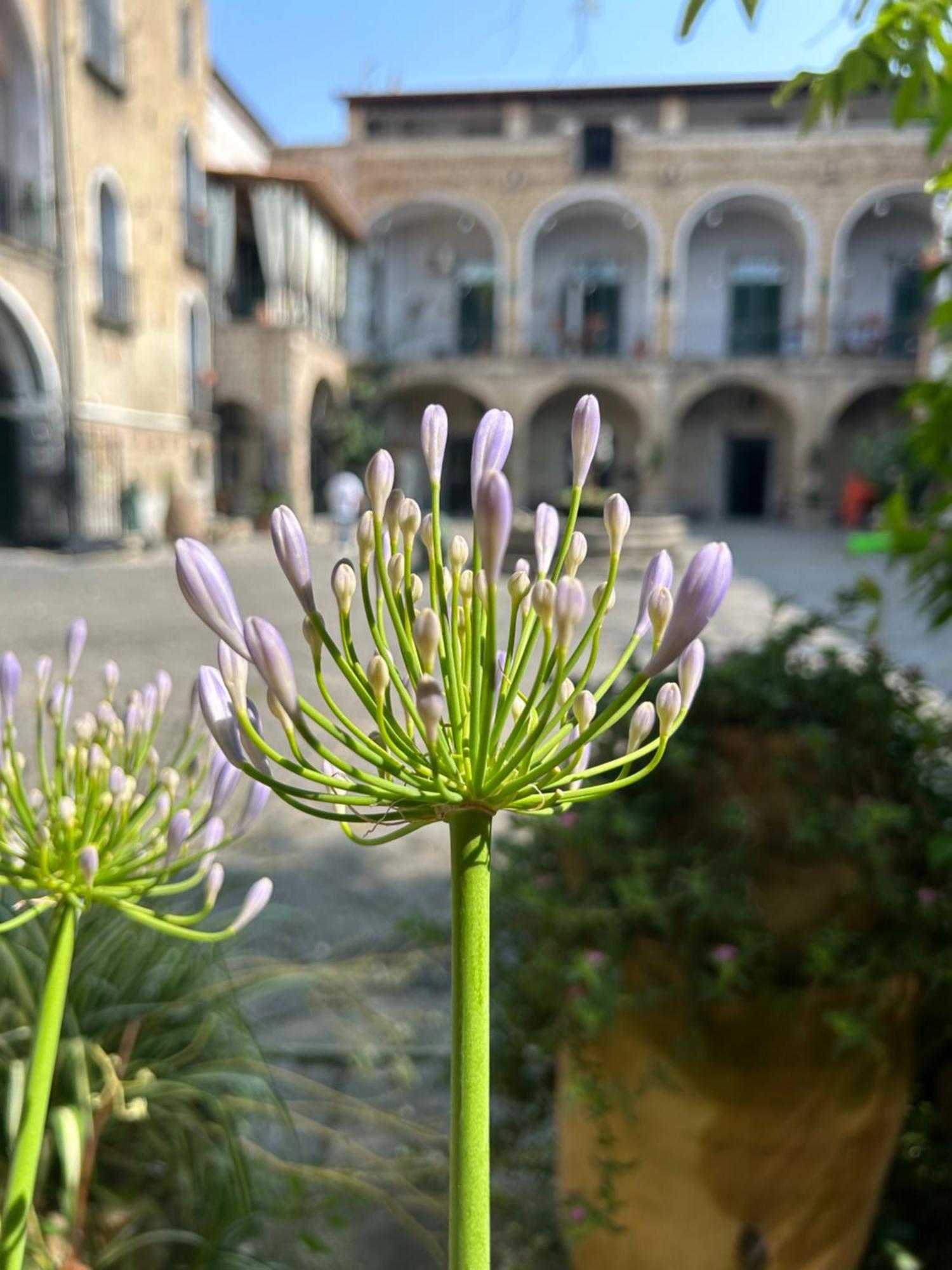 Apartmán Palazzo Capece Caivano Exteriér fotografie
